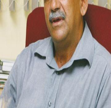 Los árboles tropicales dan el frente a los huracanes.