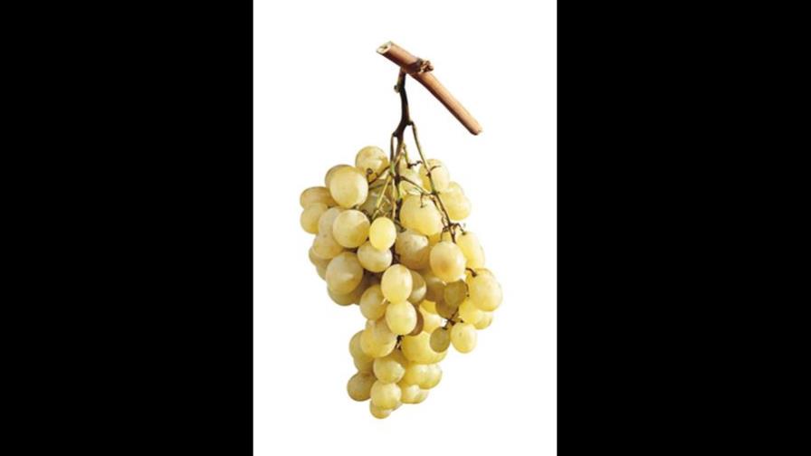 UVAS