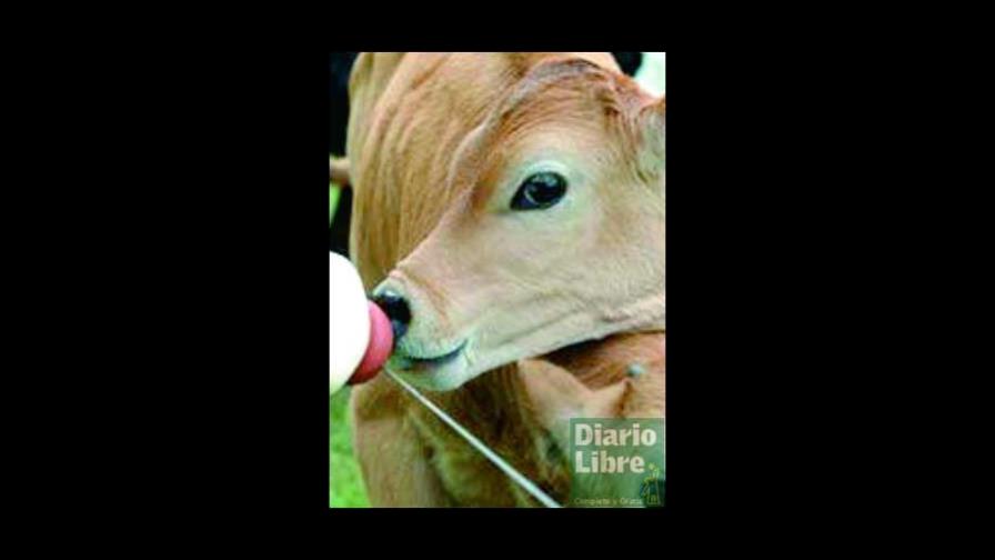 Los ganaderos piden un trato igualitario