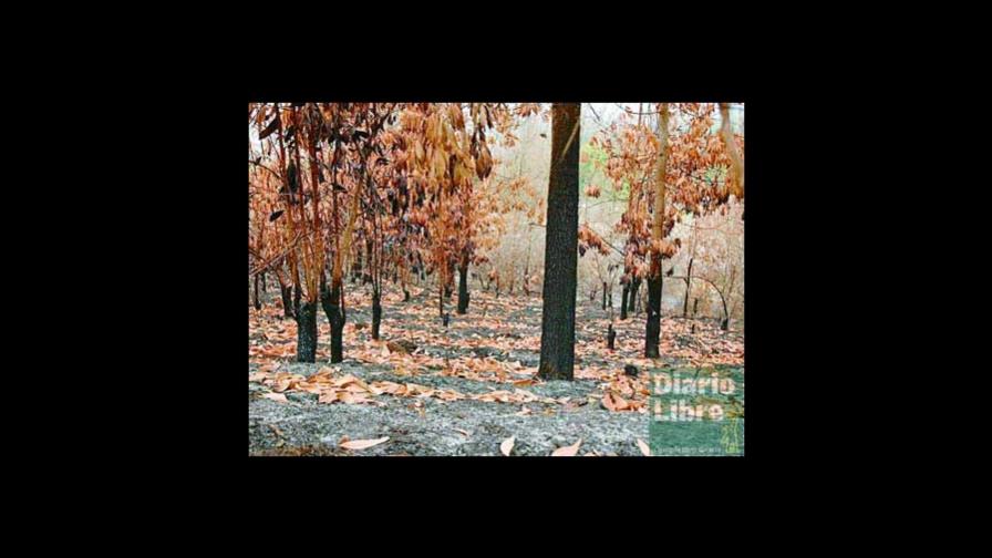 El informe de la FAO o cómo desinformar con estadísticas El informe de la FAO o cómo desinformar con estadísticas