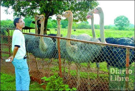 Avestruz Park: vivir una exótica aventura