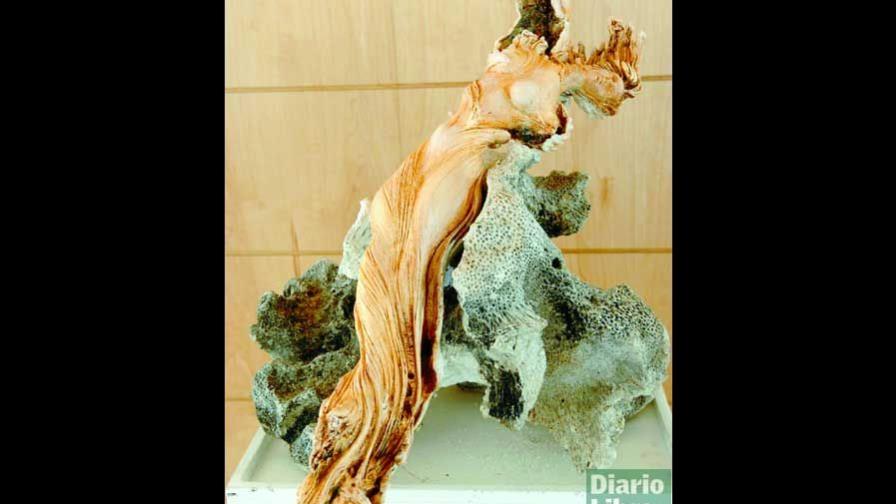El arte de la escultura: una visión dominicana del asunto