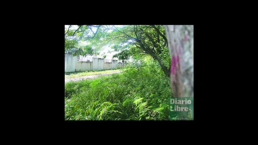 Dan permiso para ampliar cementerio de El Ingenio