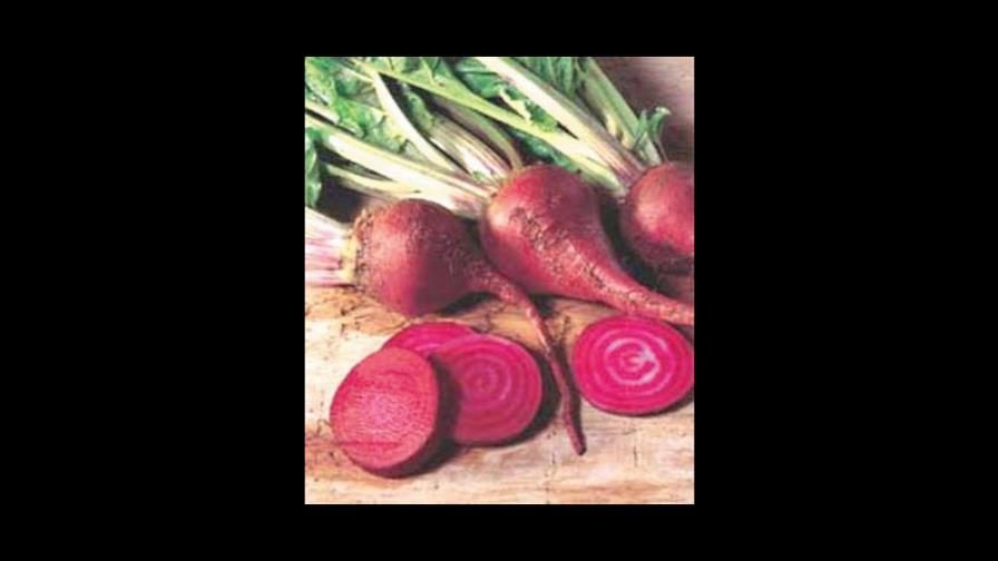 Remolacha, Beta vulgaris L. Remolacha, Beta vulgaris L.