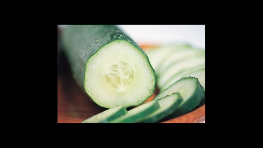 Pepino, Cucumis sativus L.