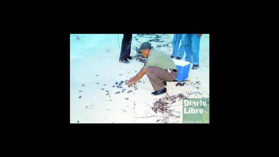 Un mensaje en una botella y otro mensaje por mandar