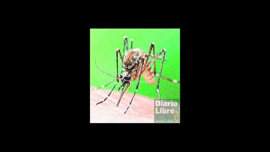 Algunas medidas para controlar los mosquitos