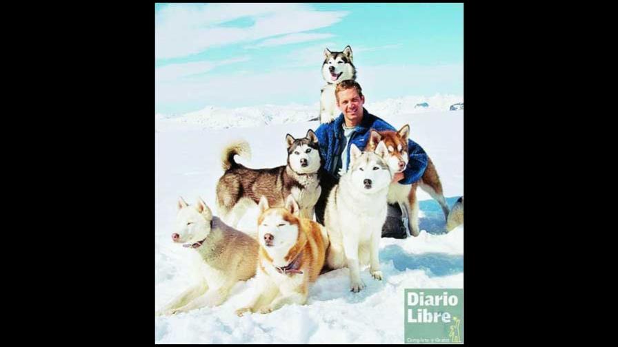 Rescate en la Antártica, una historia de perros