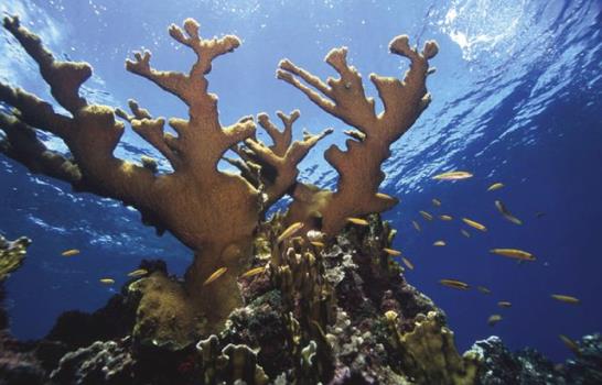 Los huracanes tienen impactos positivos en las costas marinas