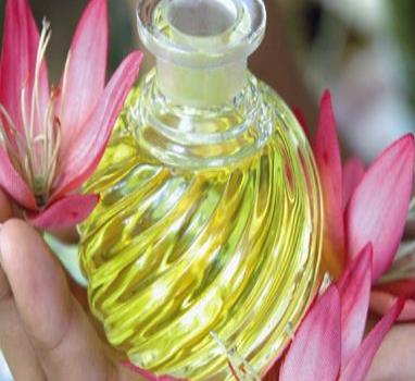 El perfume, tu mejor aliado