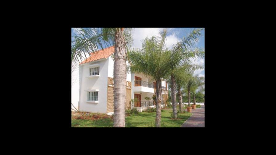 Los nuevos proyectos de Guavaberry