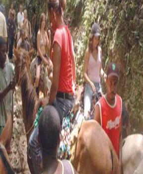 El Limón, un salto al desarrollo ecoturístico de Samaná El Limón, un salto al desarrollo ecoturístico de Samaná