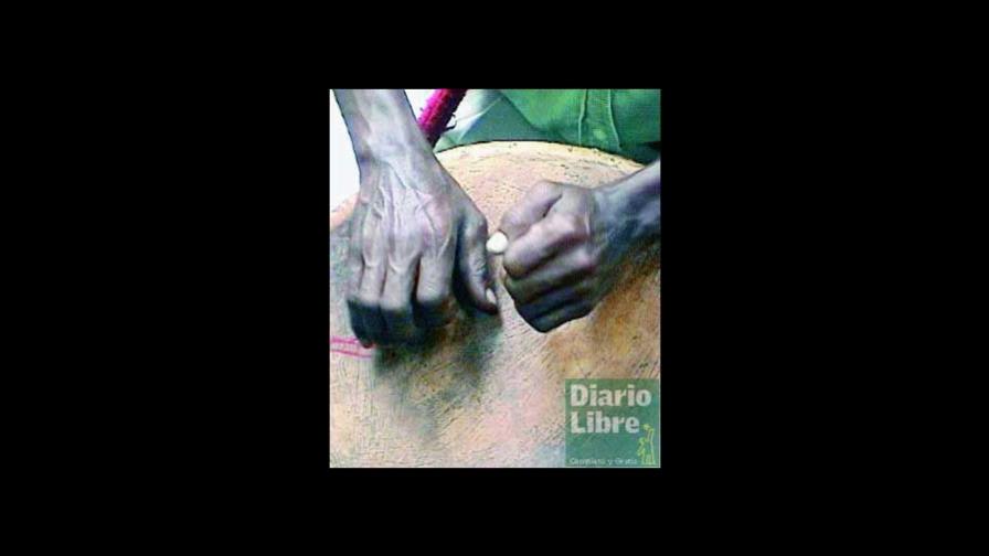 Fiesta de palos, un gran canto a las tradiciones del pueblo dominicano Fiesta de palos, un gran canto a las tradiciones del pueblo dominicano