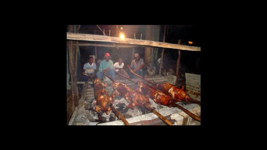 Interior y Policía servirá 700 puercos asados