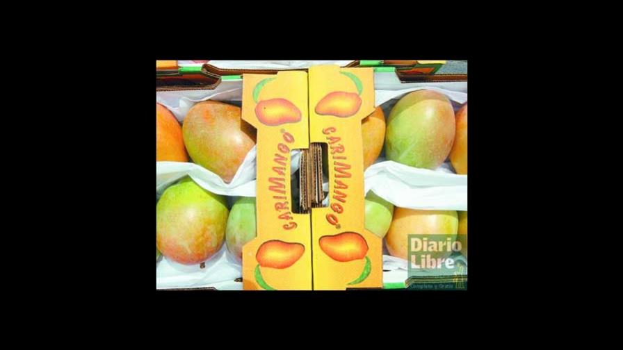 El mango sostiene a miles de familias