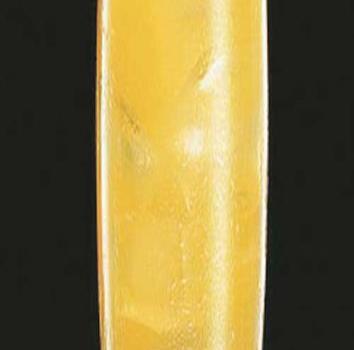 Johanna Durán, Gerente de Marca Diageo Dominicana