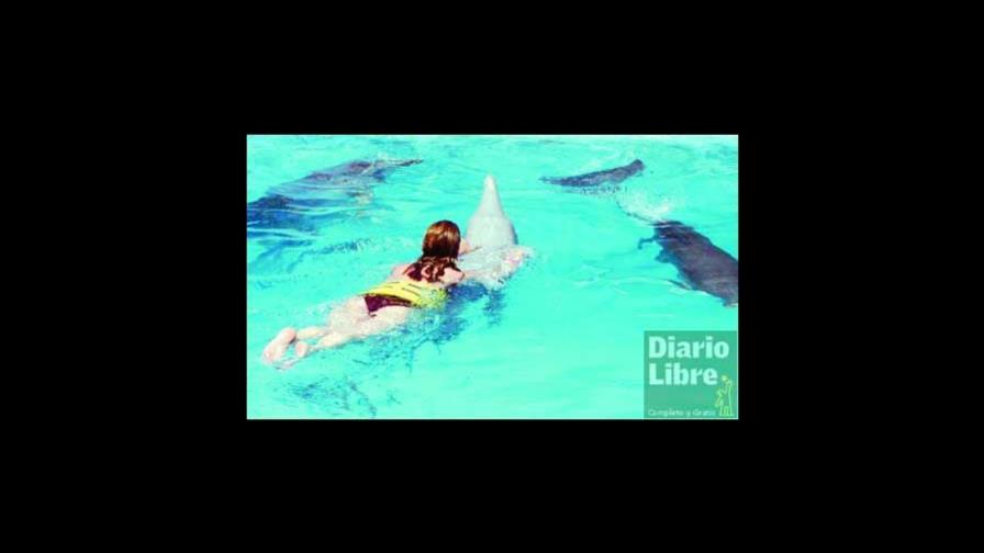 Organismos solicitan el cierre de Manati Park Organismos solicitan el cierre de Manati Park