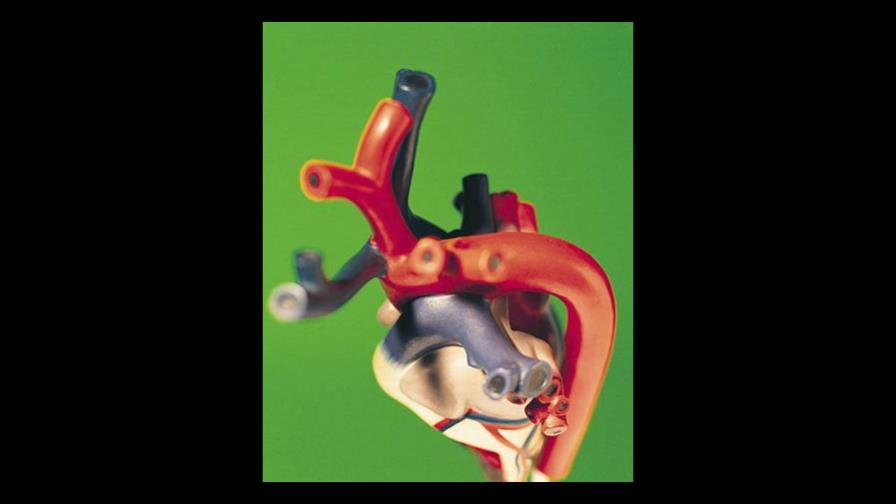 Proteína elástica para las arterias