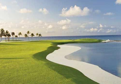 Sam Logan, Gerente General de Operaciones Campo de Golf Punta Espada