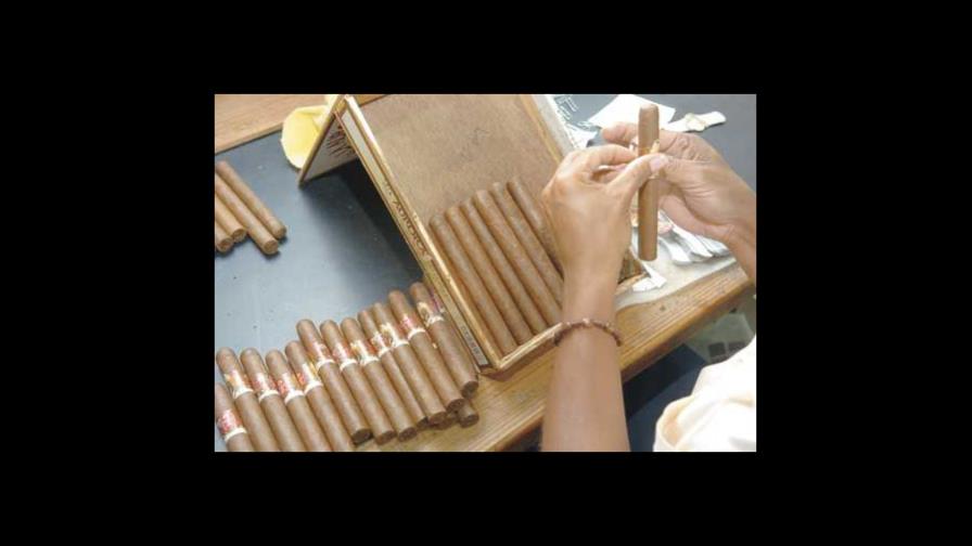 Cómo le dí vida a un puro Cómo le dí vida a un puro