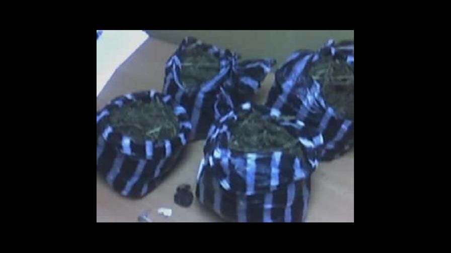 Ejército ocupa 55 libras de marihuana