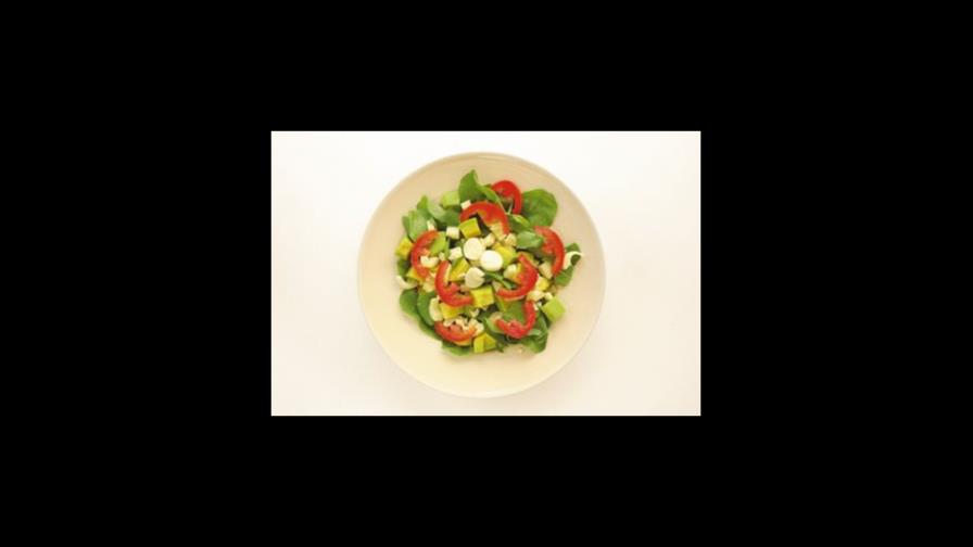 El palmito de pejibaye, una opción ecológica