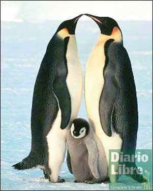 Las diez mejores películas del 2006