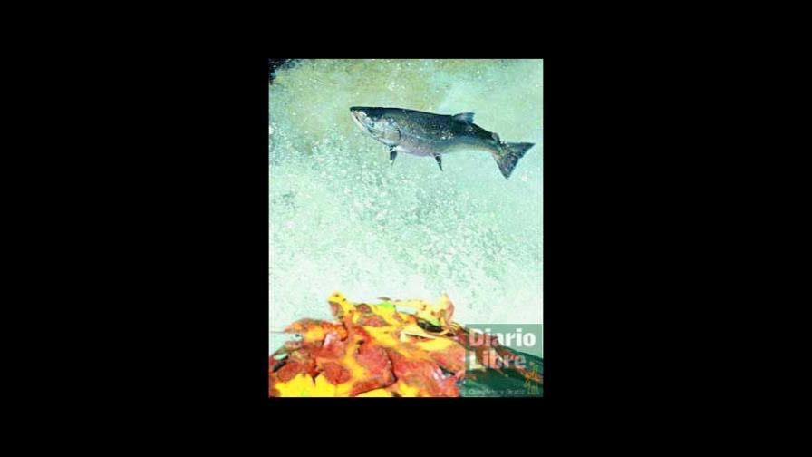 El pescado es bueno, ¿y el ambiente?