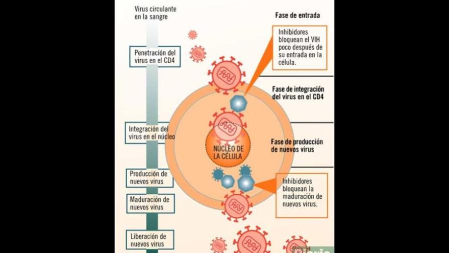 Antirretrovirales: una alternativa contra el VIH