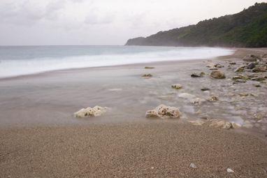 Estado de los recursos naturales en el Gran Caribe