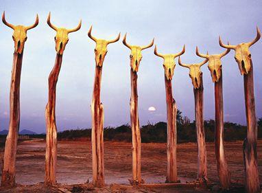 Estado de los recursos naturales en el Gran Caribe