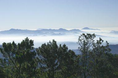 Estado de los recursos naturales en el Gran Caribe
