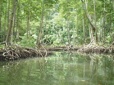 Situación de nuestras áreas protegidas