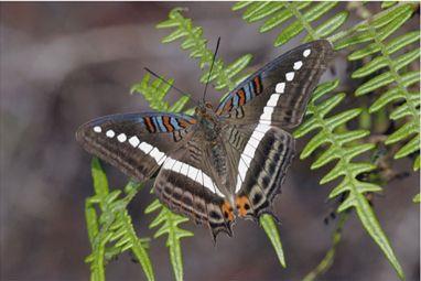 Situación de nuestras áreas protegidas