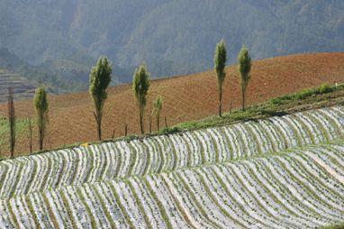 Situación de nuestras áreas protegidas