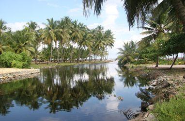 Situación de nuestras áreas protegidas