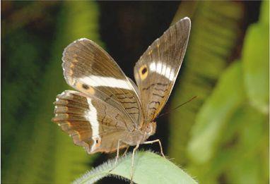 Situación de nuestras áreas protegidas
