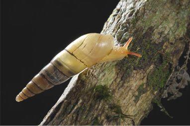 Situación de nuestras áreas protegidas