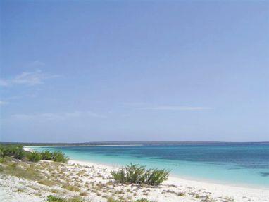 Mares y océanos, también nuestro medio ambiente