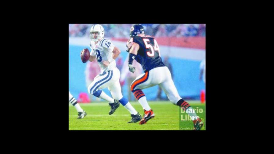 Potros domaron Osos y ganan el Super Bowl