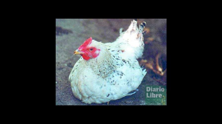 En la actualidad persisten los mitos socráticos