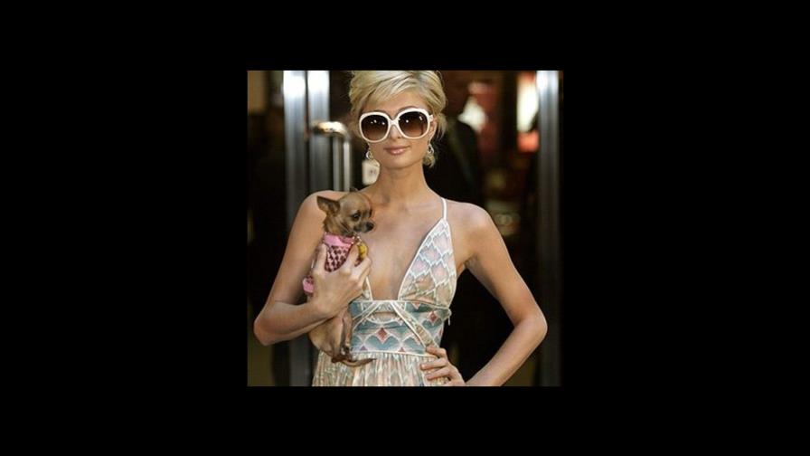 Paris Hilton llega a los tribunales para discutir su posible vuelta a prisión Paris Hilton llega a los tribunales para discutir su posible vuelta a prisión