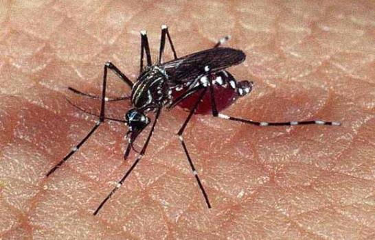 Aumentan la gravedad de los casos de dengue en Puerto Rico