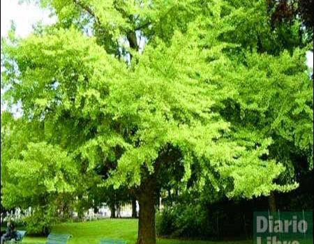 Canción de Juan Luis en sinfonía y pintura