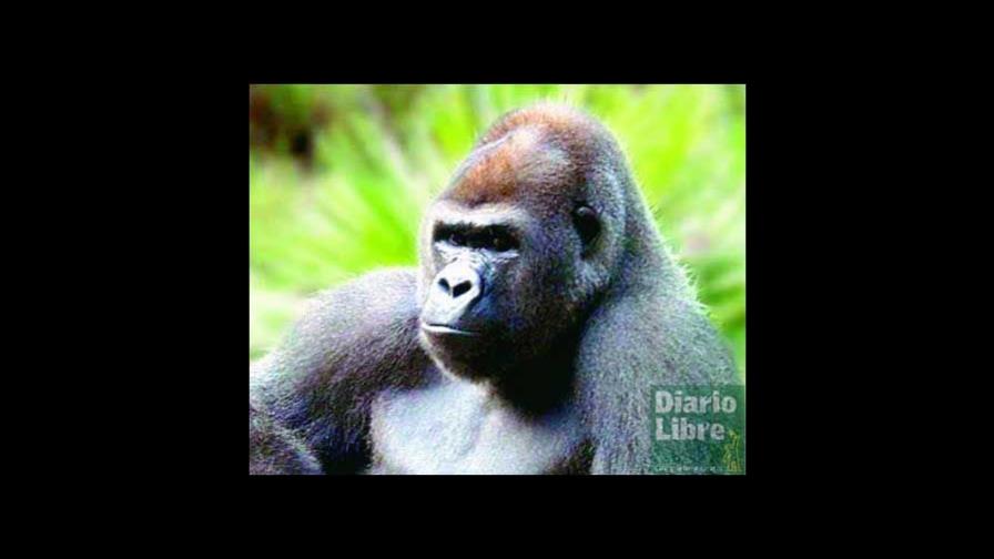 Ovulación secreta y otras cuestiones