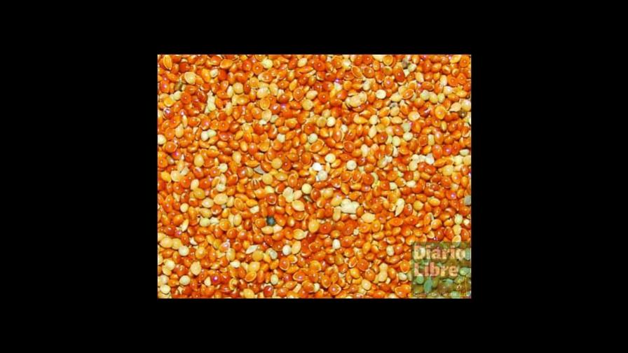 De granos antiguos y modos de nutrición