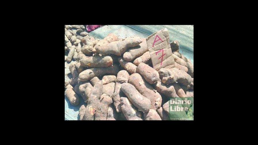 Mercados de Agricultura no arrancaron ayer en los barrios