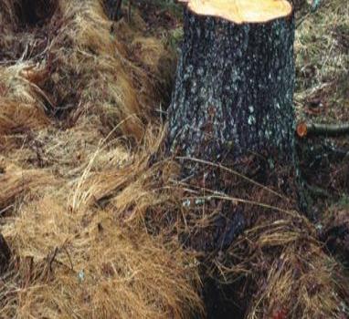 ¿Qué es el cambio climático?