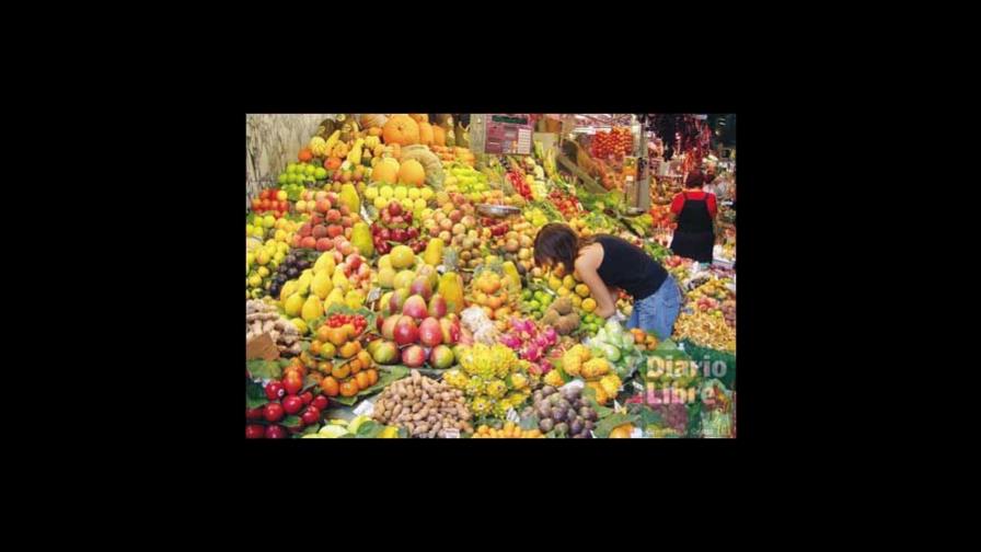 La joven macadamia es la reina de las nueces