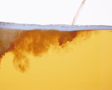 Tu cuerpo, tu templo